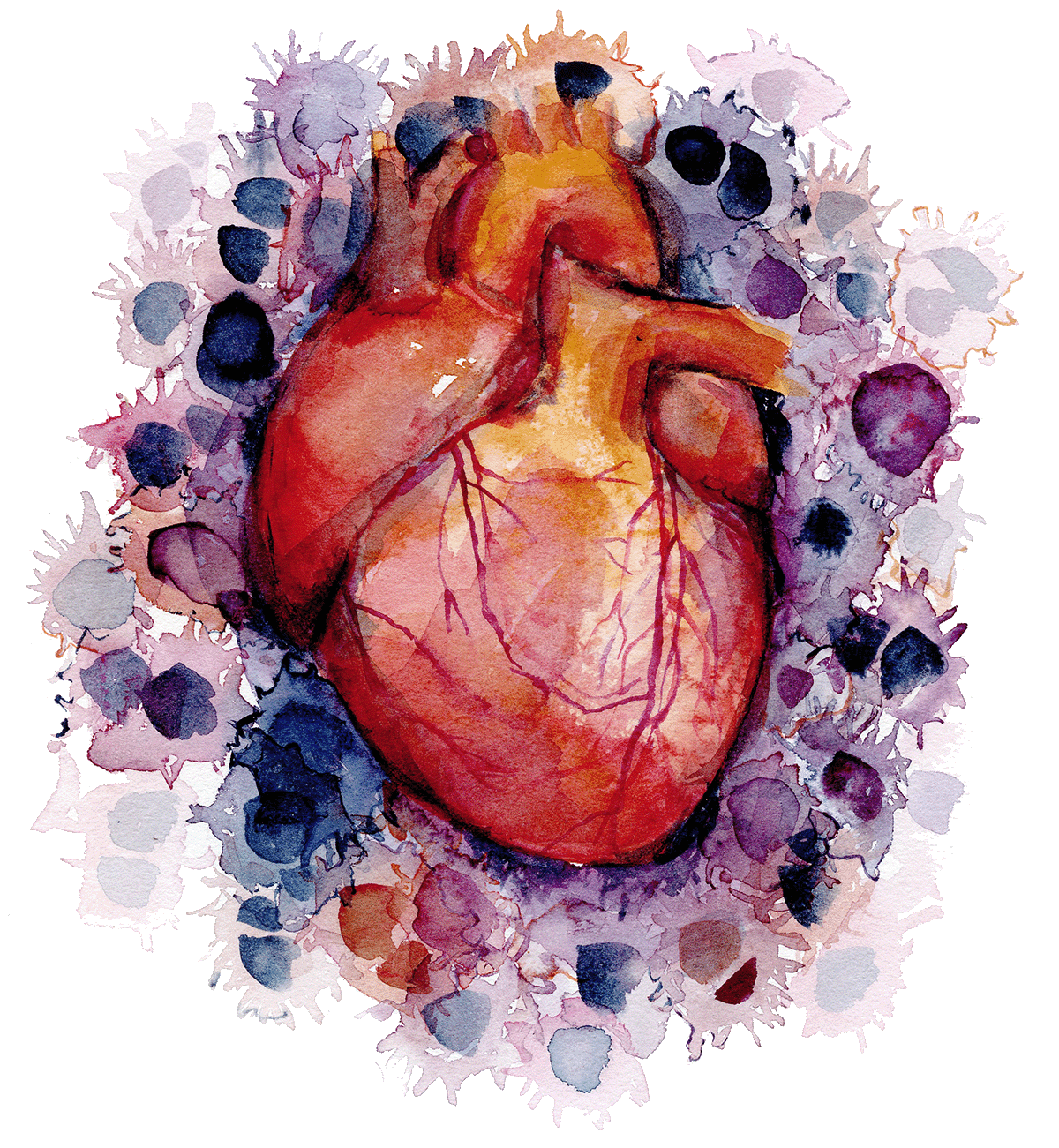 Illustration of the heart surrounded by cancer cells